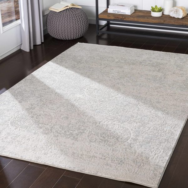 Frankston Faux Silk Rug - Clearance Discount - Image 2